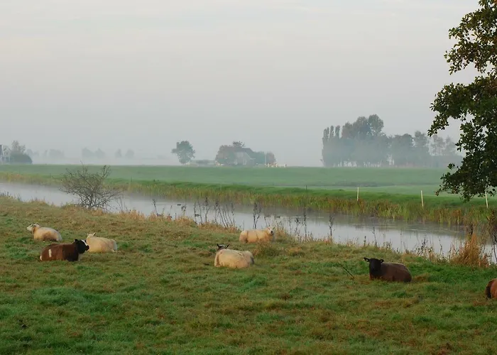 Dobberhuisje Casa vacanze *