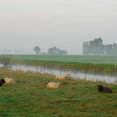 Dobberhuisje Feriehus *